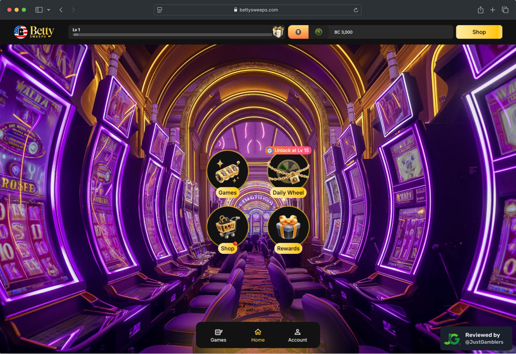 screenshot-bettysweeps-landing-page-desktop
